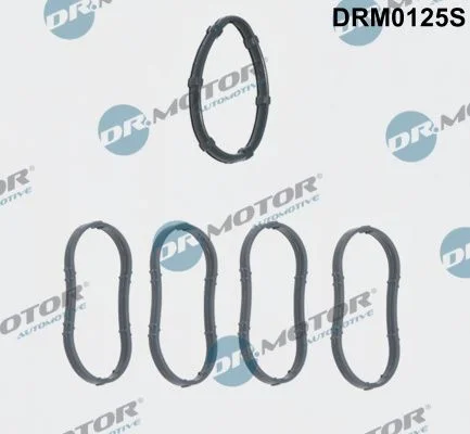 Sada tesnení, sacie potrubie Dr.Motor Automotive DRM0125S