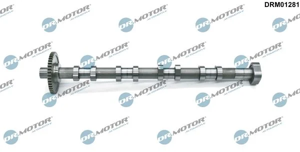 Camshaft Dr.Motor Automotive DRM01281