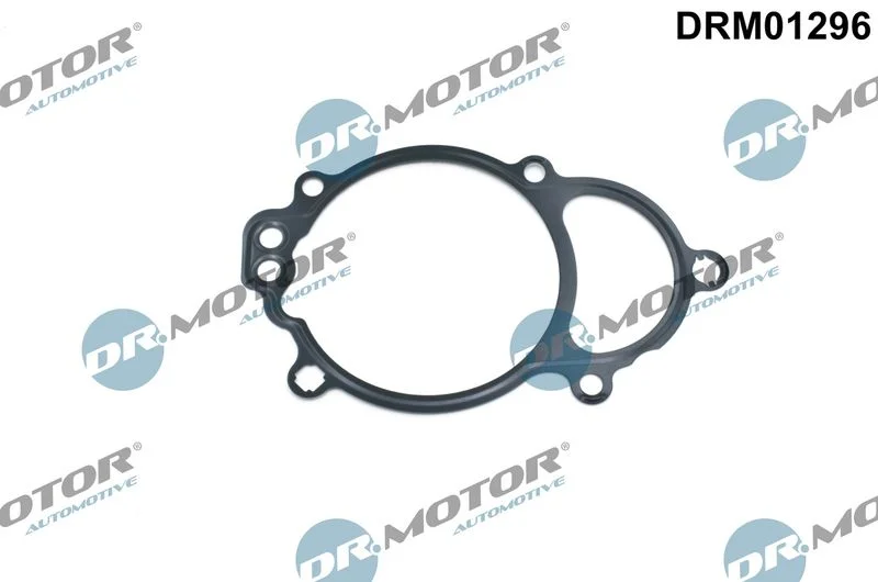 Seal, camshaft adjustment Dr.Motor Automotive DRM01296