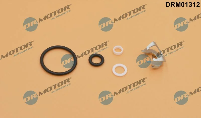 Repair Kit, injection nozzle Dr.Motor Automotive DRM01312