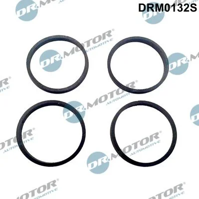 Sada tesnení, sacie potrubie Dr.Motor Automotive DRM0132S