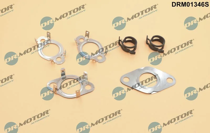 Sada tesnení, EGR systém Dr.Motor Automotive DRM01346S