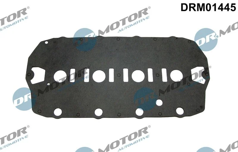Gasket, cylinder head cover Dr.Motor Automotive DRM01445
