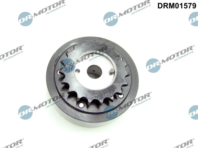 Nastavovač vačkového hriadeľa Dr.Motor Automotive DRM01579