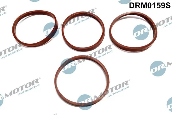 Sada tesnení, sacie potrubie Dr.Motor Automotive DRM0159S