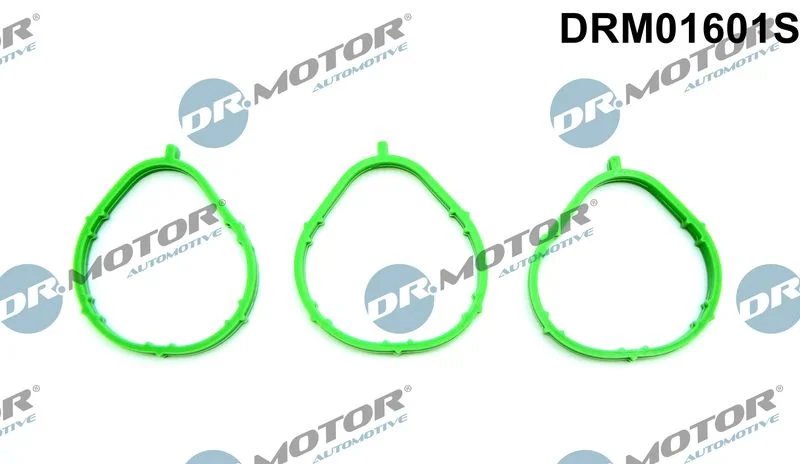 Sada tesnení, sacie potrubie Dr.Motor Automotive DRM01601S