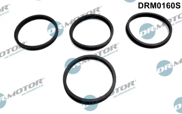 Sada tesnení, sacie potrubie Dr.Motor Automotive DRM0160S
