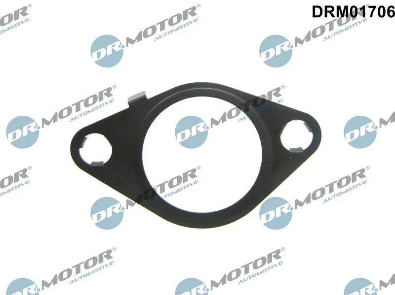 Tesnenie, EGR ventil Dr.Motor Automotive DRM01706