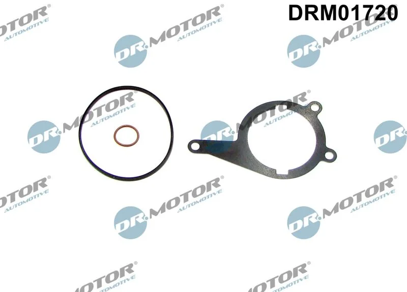 Tesnenie, vákuové čerpadlo Dr.Motor Automotive DRM01720