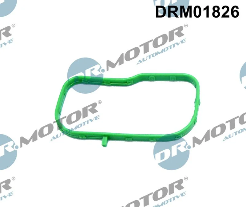 Gasket, intake manifold Dr.Motor Automotive DRM01826