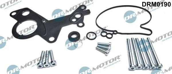 Sada na opravu, vákuové čerpadlo (brzdový systém) Dr.Motor Automotive DRM0190