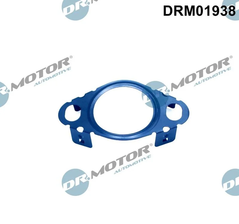 Tesnenie, potrubie EGR ventilu Dr.Motor Automotive DRM01938