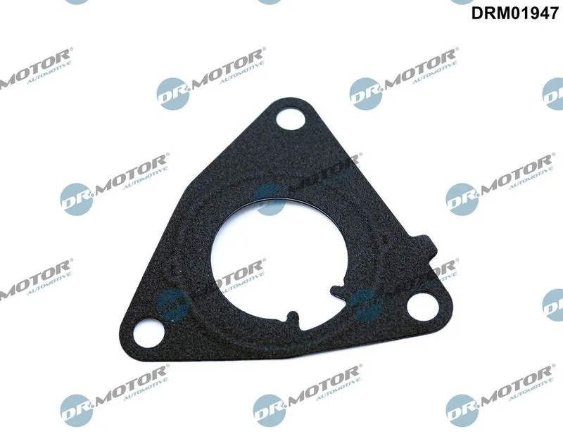 Tesnenie, vákuové čerpadlo Dr.Motor Automotive DRM01947