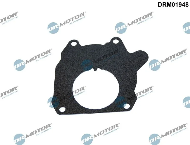 Gasket, vacuum pump Dr.Motor Automotive DRM01948