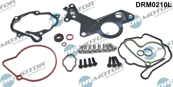 Sada na opravu, vákuové čerpadlo (brzdový systém) Dr.Motor Automotive DRM0210L