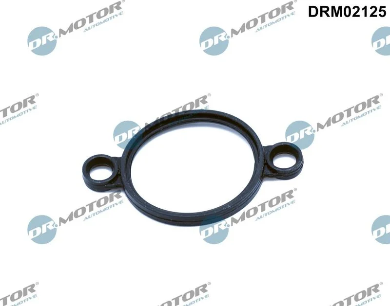 Tesnenie, nastavovací prvok (excentrický hriadeľ) Dr.Motor Automotive DRM02125