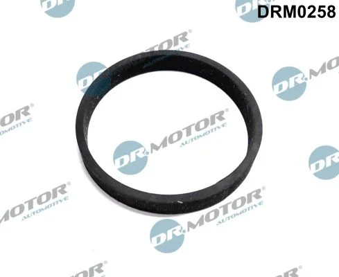 Tesnenie, vstup do turbíny (nabíjačka) Dr.Motor Automotive DRM0258