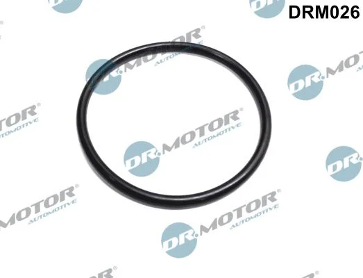 Tesnenie, teleso škrtiacej klapky Dr.Motor Automotive DRM026