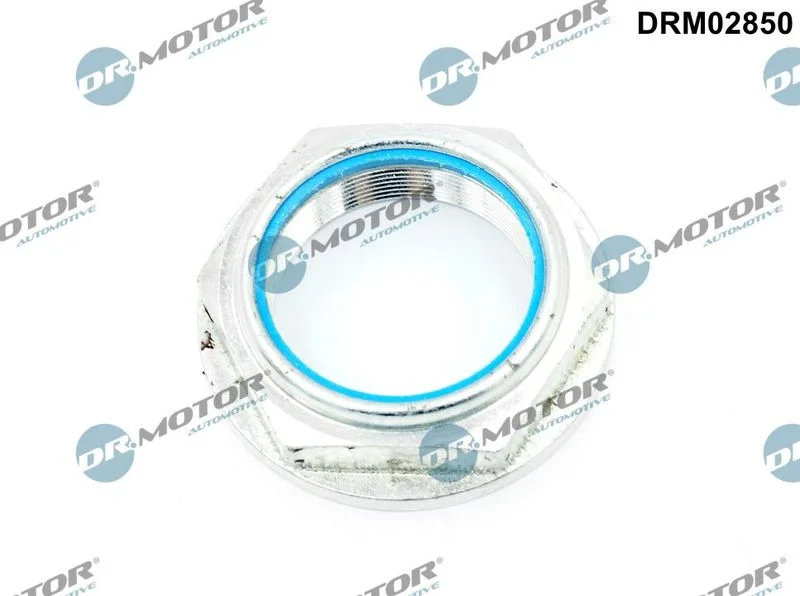 Nut, kingpin Dr.Motor Automotive DRM02850