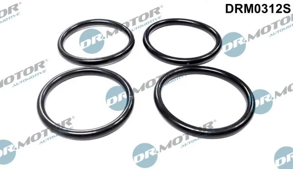 Sada tesnení, sacie potrubie Dr.Motor Automotive DRM0312S