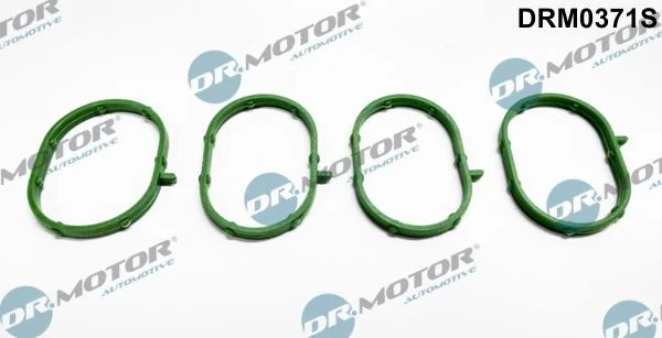 Sada tesnení, sacie potrubie Dr.Motor Automotive DRM0371S