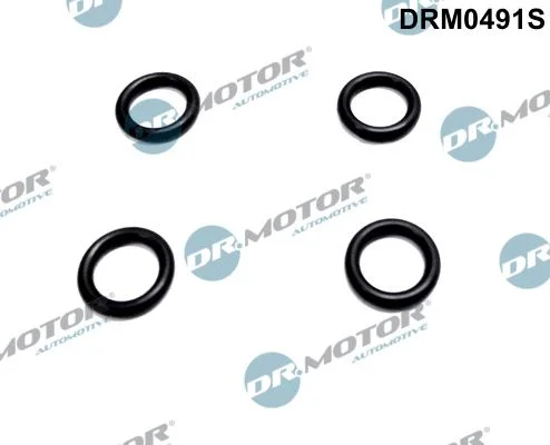 Seal Ring, injector Dr.Motor Automotive DRM0491S