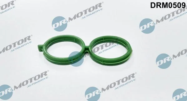 Tesnenie, ventil regulácie voľnobehu prívodu vzduchu Dr.Motor Automotive DRM0509