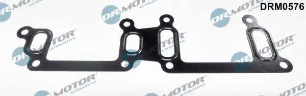 Seal, coolant pipe Dr.Motor Automotive DRM0576