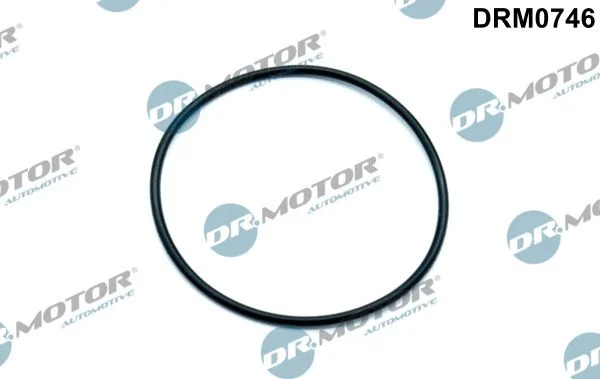 Tesnenie, vákuové čerpadlo Dr.Motor Automotive DRM0746