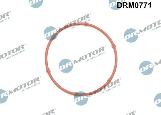 Tesnenie, olejové čerpadlo Dr.Motor Automotive DRM0771
