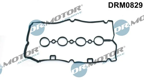 Tesnenie, veka hlavy valcov Dr.Motor Automotive DRM0829