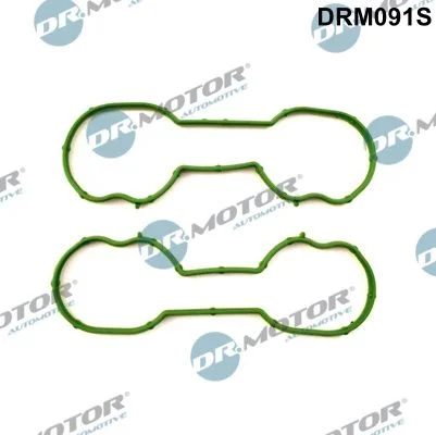 Sada tesnení, sacie potrubie Dr.Motor Automotive DRM091S