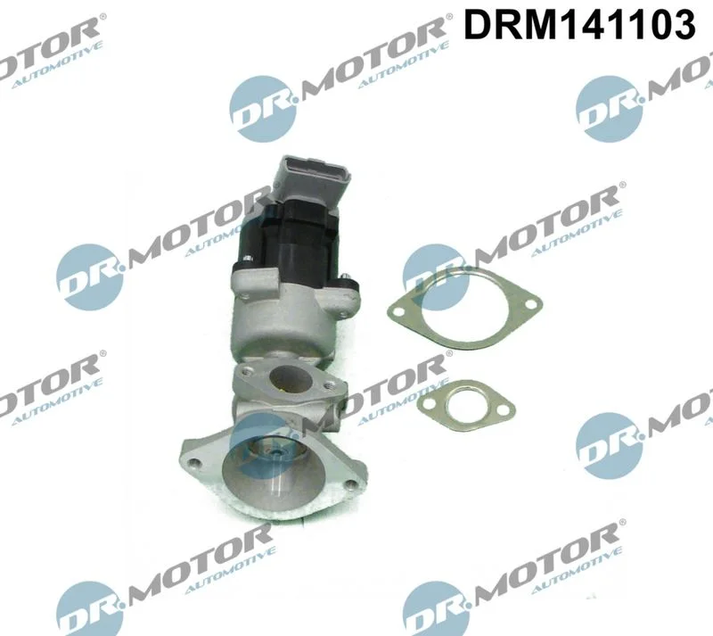 EGR Valve Dr.Motor Automotive DRM141103