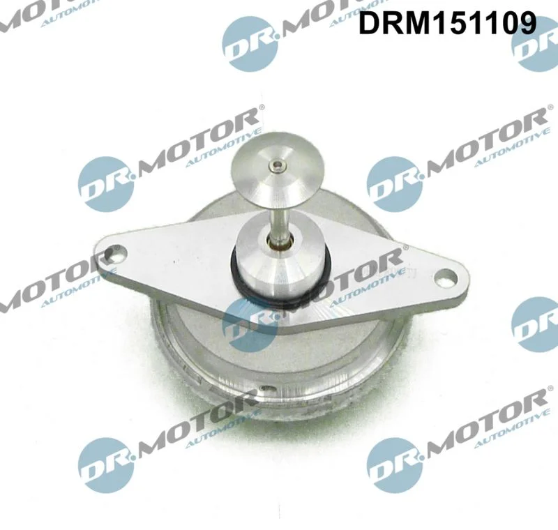 EGR Valve Dr.Motor Automotive DRM151109