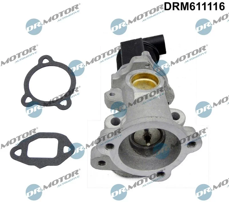 EGR ventil Dr.Motor Automotive DRM611116