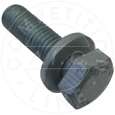 Valdymo svirties varžtas AIC 51867
