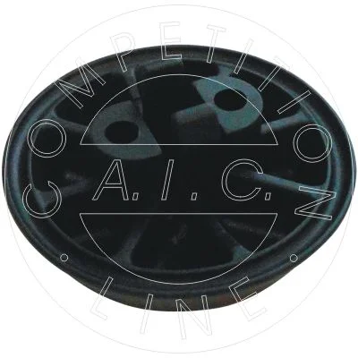 Kėlimo taškas AIC 55981