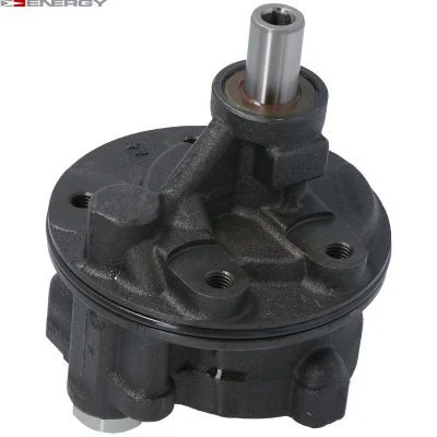 Hydraulic Pump, steering ENERGY PW303338