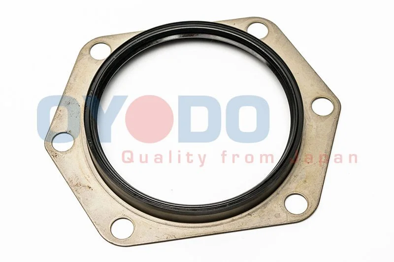 Seal Ring, wheel hub Oyodo 30P1008-OYO