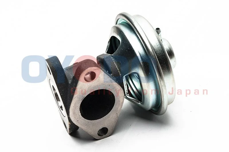EGR ventil Oyodo 75E0069-OYO