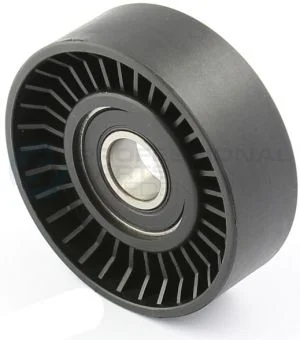 Tensioner Pulley, V-ribbed belt Professional Parts 21432620