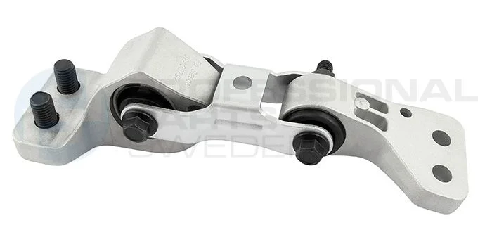 Variklio montavimas Professional Parts 62433792