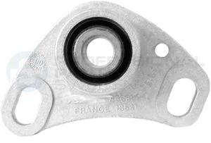 Variklio montavimas Professional Parts 62433967