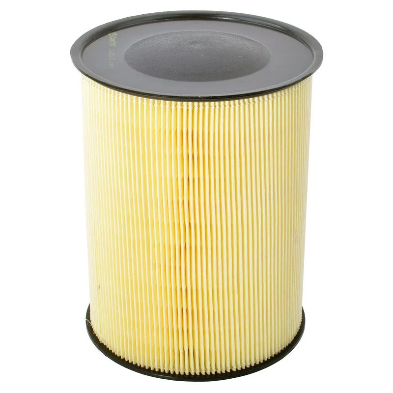 Oro filtras Castrol Filters CA0003