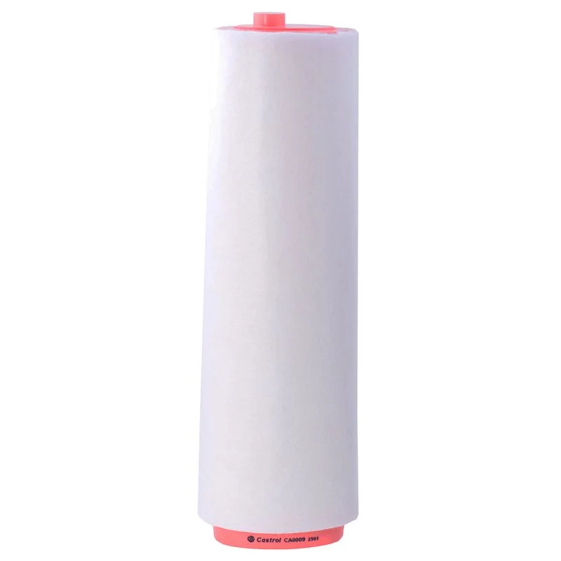 Oro filtras Castrol Filters CA0009