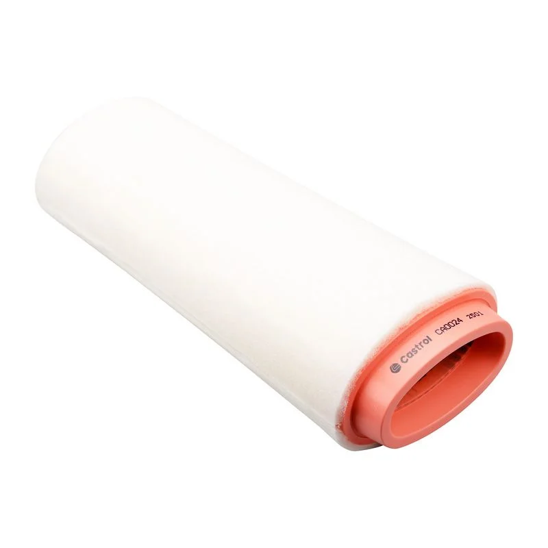 Oro filtras Castrol Filters CA0024