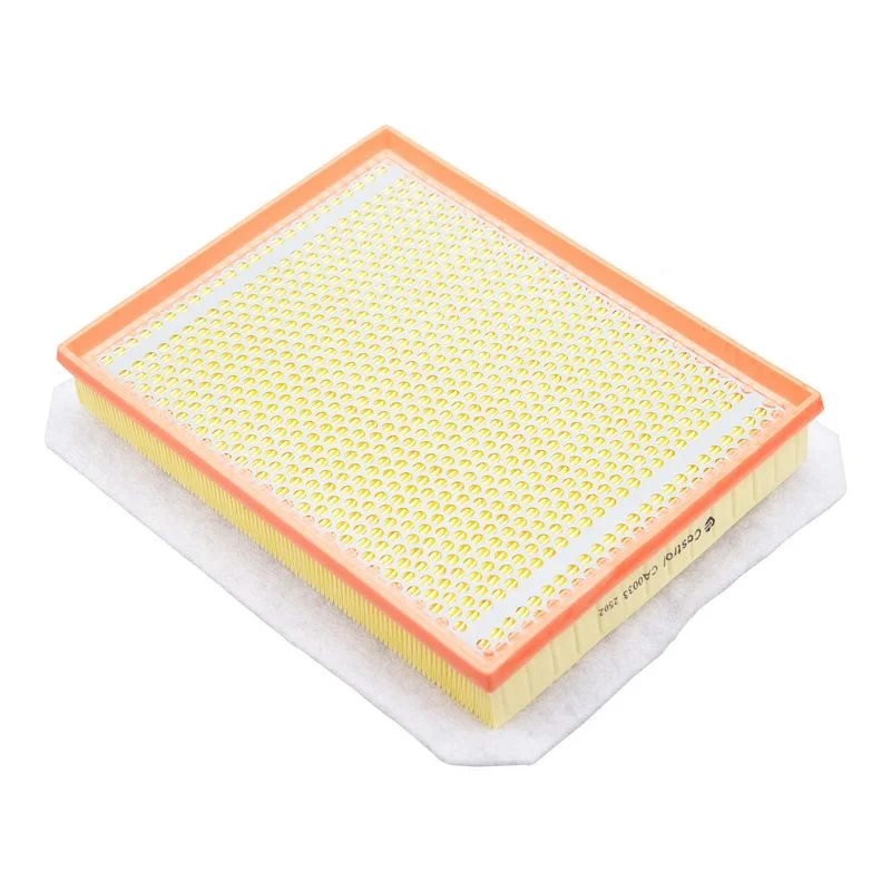 Oro filtras Castrol Filters CA0033