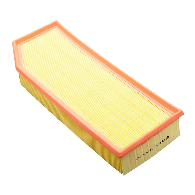 Oro filtras Castrol Filters CA0076