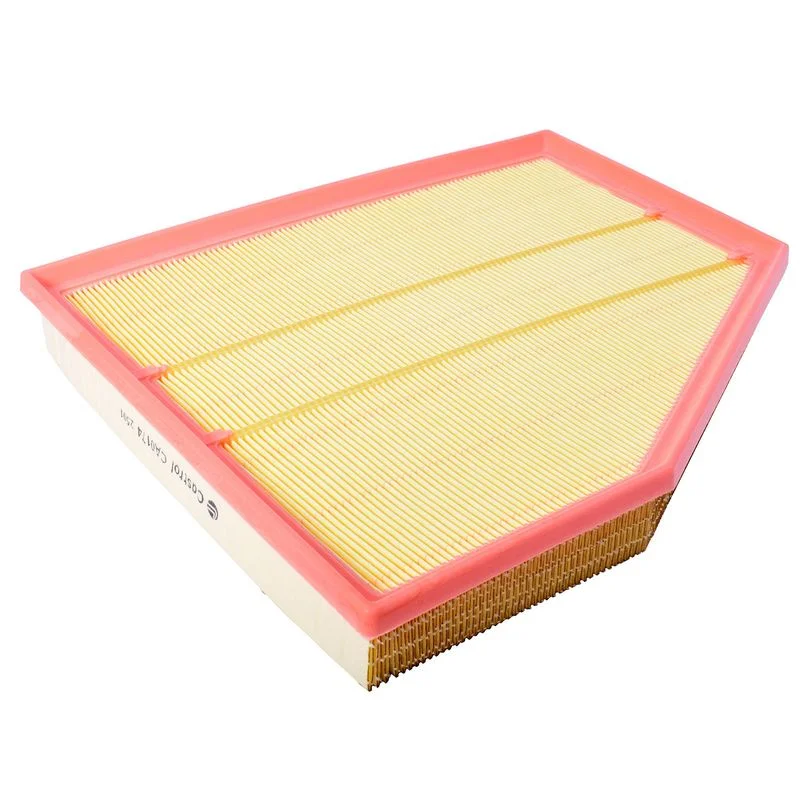 Oro filtras Castrol Filters CA0174