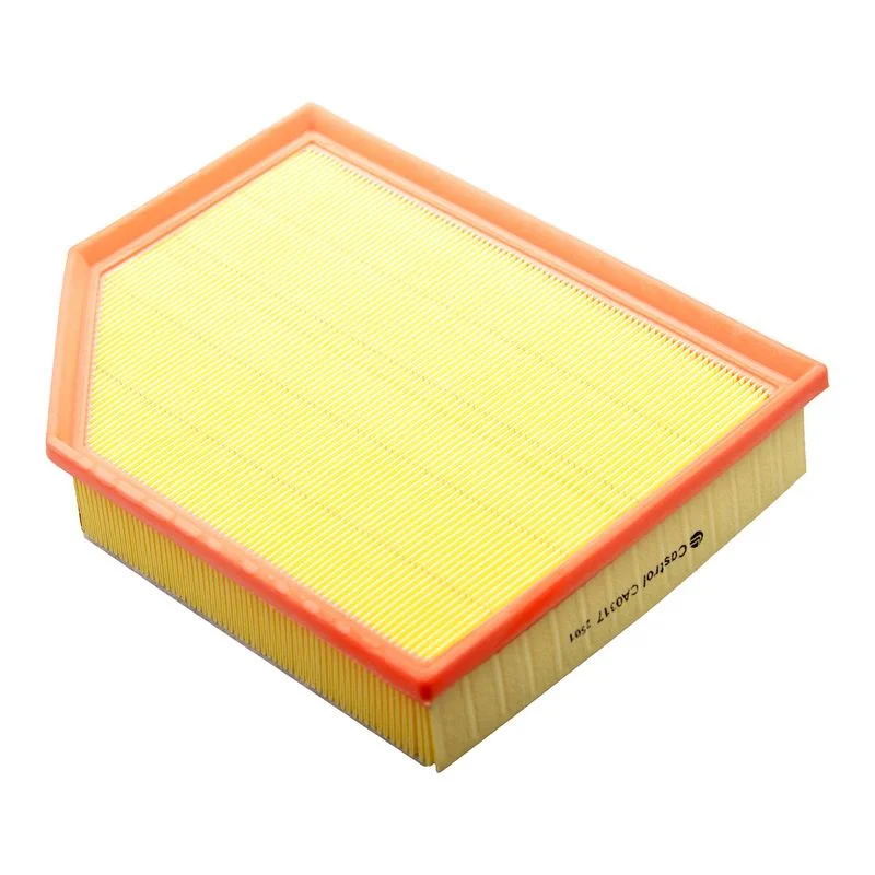 Oro filtras castrol filters CA0317